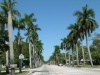 usa_fl_cape-coral_dscf2033