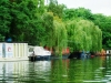 0508-berlin_landwehrkanal_hausboote_dscf2842