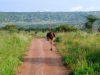 0605-kenia-tsavo-west-dscf4104