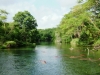 0605-kenia-tsavo-west-mzima_springs_hippos-dscf4147