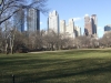 0801_new_york-central_park-blick_auf_westside-dscf6084