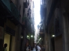 20090815-Barcelona-Barri_Gotic-DSCF0241